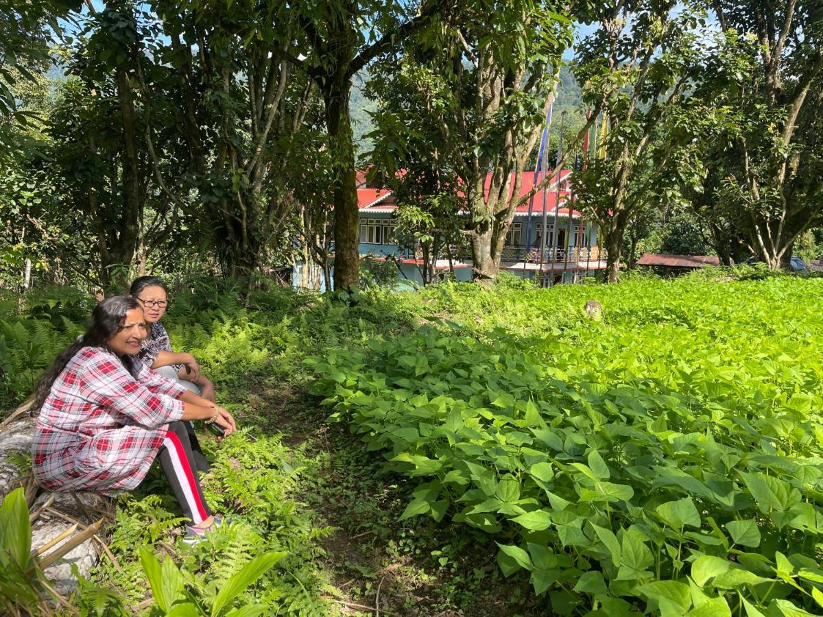 Khimsha Homestay Pelling Extérieur photo